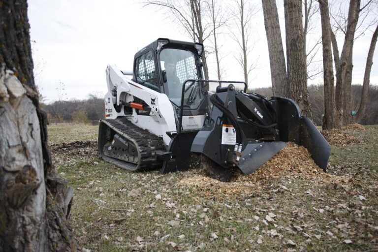 gato montés t770